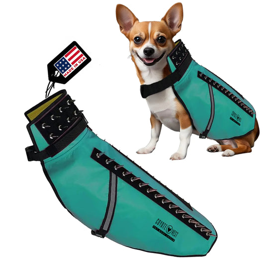 CoyoteVest Dog Harness Protection Vest Reflective Dog Accessories with Spikes to Shield Your Pet from Raptor and Animal Attacks Proudly Made in America (Large Turquoise)